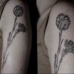 photo tattoo cornflower 03.03.2019 №033 - idea for a tattoo with cornflower - tattoovalue.net
