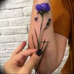 photo tattoo cornflower 03.03.2019 №036 - idea for a tattoo with cornflower - tattoovalue.net