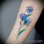 photo tattoo cornflower 03.03.2019 №042 - idea for a tattoo with cornflower - tattoovalue.net