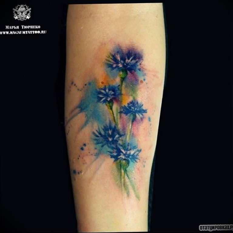 photo tattoo cornflower 03.03.2019 №044 - idea for a tattoo with cornflower - tattoovalue.net