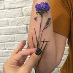 photo tattoo cornflower 03.03.2019 №045 - idea for a tattoo with cornflower - tattoovalue.net