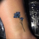 photo tattoo cornflower 03.03.2019 №047 - idea for a tattoo with cornflower - tattoovalue.net