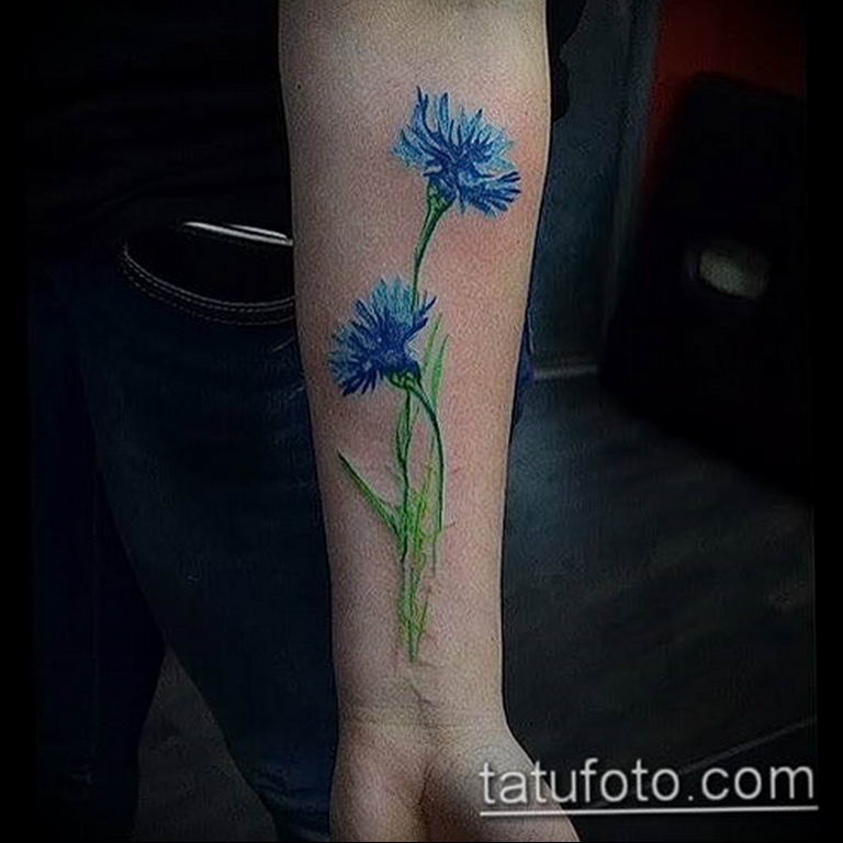 photo tattoo cornflower 03.03.2019 №048 - idea for a tattoo with cornflower - tattoovalue.net