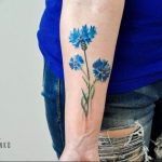 photo tattoo cornflower 03.03.2019 №052 - idea for a tattoo with cornflower - tattoovalue.net