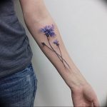 photo tattoo cornflower 03.03.2019 №053 - idea for a tattoo with cornflower - tattoovalue.net