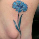 photo tattoo cornflower 03.03.2019 №054 - idea for a tattoo with cornflower - tattoovalue.net
