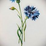 photo tattoo cornflower 03.03.2019 №055 - idea for a tattoo with cornflower - tattoovalue.net