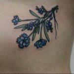 photo tattoo cornflower 03.03.2019 №056 - idea for a tattoo with cornflower - tattoovalue.net