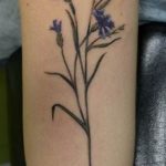 photo tattoo cornflower 03.03.2019 №057 - idea for a tattoo with cornflower - tattoovalue.net