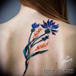 photo tattoo cornflower 03.03.2019 №059 - idea for a tattoo with cornflower - tattoovalue.net