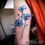 photo tattoo cornflower 03.03.2019 №060 - idea for a tattoo with cornflower - tattoovalue.net