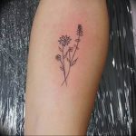 photo tattoo cornflower 03.03.2019 №061 - idea for a tattoo with cornflower - tattoovalue.net