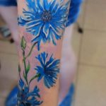 photo tattoo cornflower 03.03.2019 №062 - idea for a tattoo with cornflower - tattoovalue.net