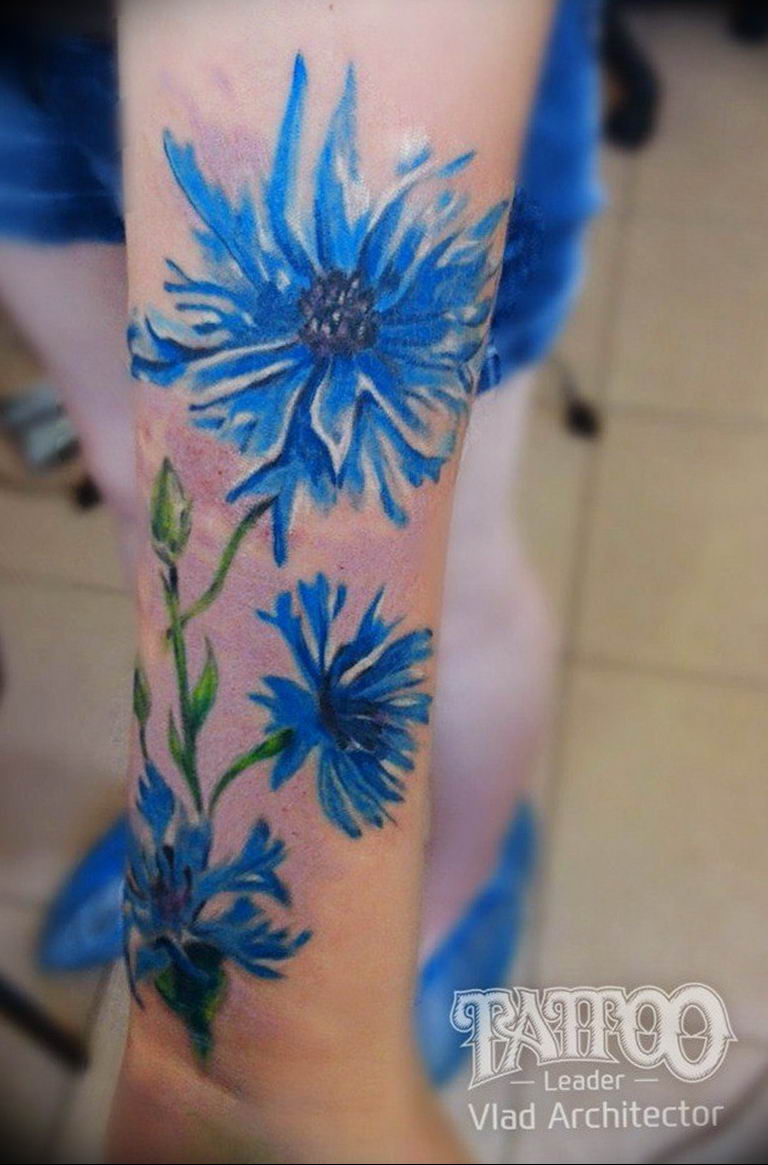 photo tattoo cornflower 03.03.2019 №062 - idea for a tattoo with cornflower - tattoovalue.net