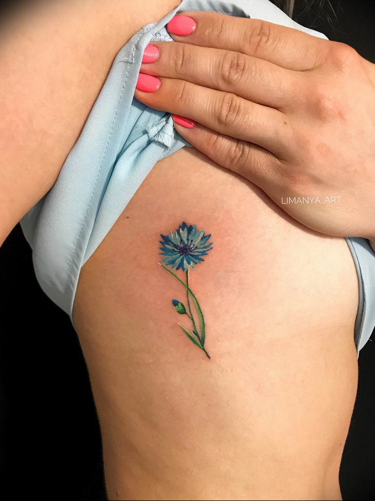 photo tattoo cornflower 03.03.2019 №064 - idea for a tattoo with cornflower - tattoovalue.net
