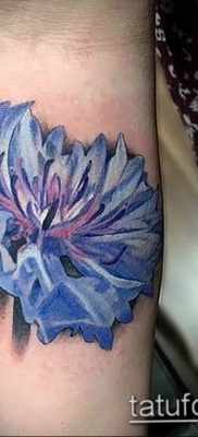 photo tattoo cornflower 03.03.2019 №065 – idea for a tattoo with cornflower – tattoovalue.net