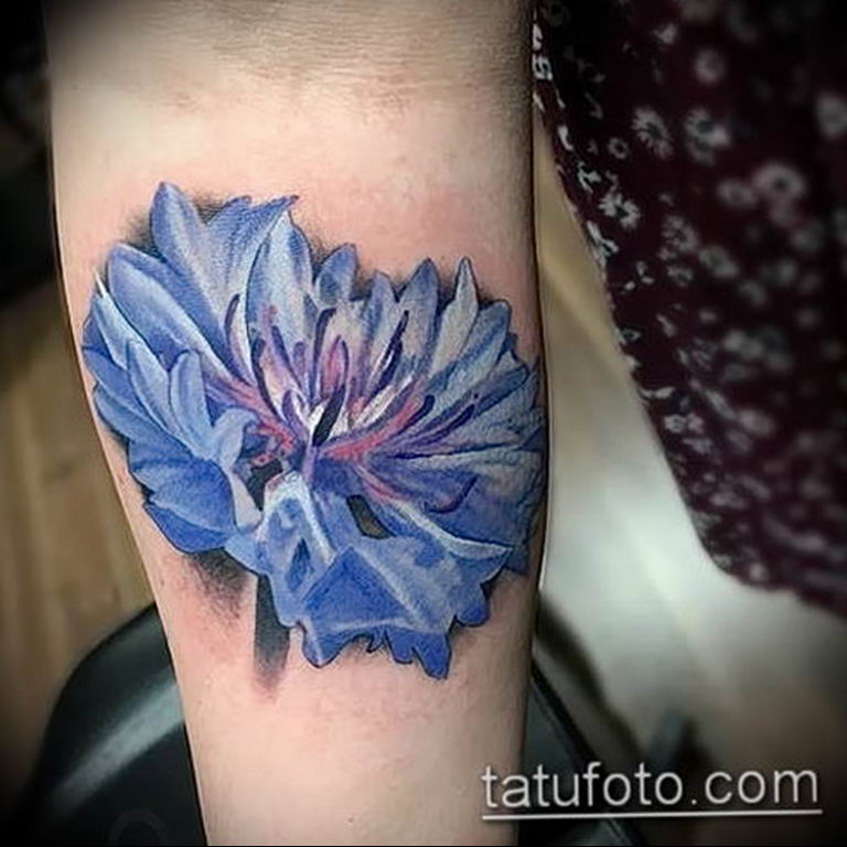 photo tattoo cornflower 03.03.2019 №065 - idea for a tattoo with cornflower - tattoovalue.net