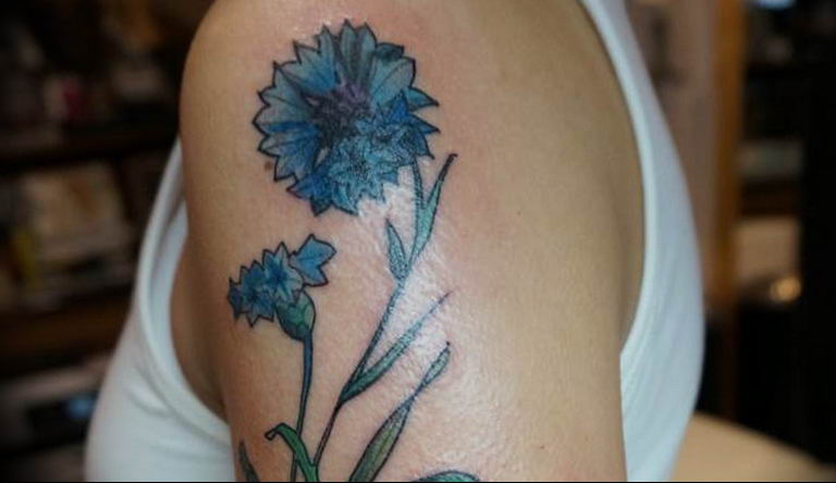 photo tattoo cornflower 03.03.2019 №067 - idea for a tattoo with cornflower - tattoovalue.net