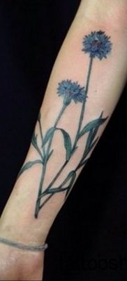 photo tattoo cornflower 03.03.2019 №068 – idea for a tattoo with cornflower – tattoovalue.net