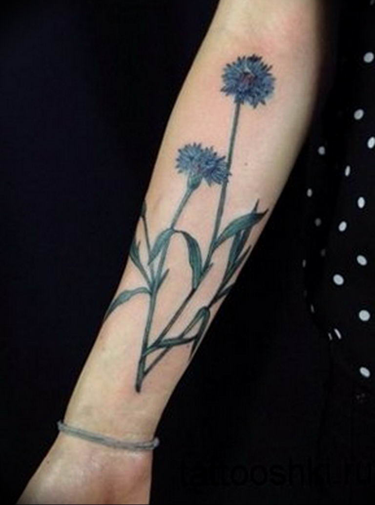photo tattoo cornflower 03.03.2019 №068 - idea for a tattoo with cornflower - tattoovalue.net