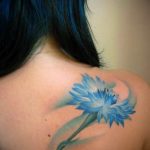 photo tattoo cornflower 03.03.2019 №069 - idea for a tattoo with cornflower - tattoovalue.net