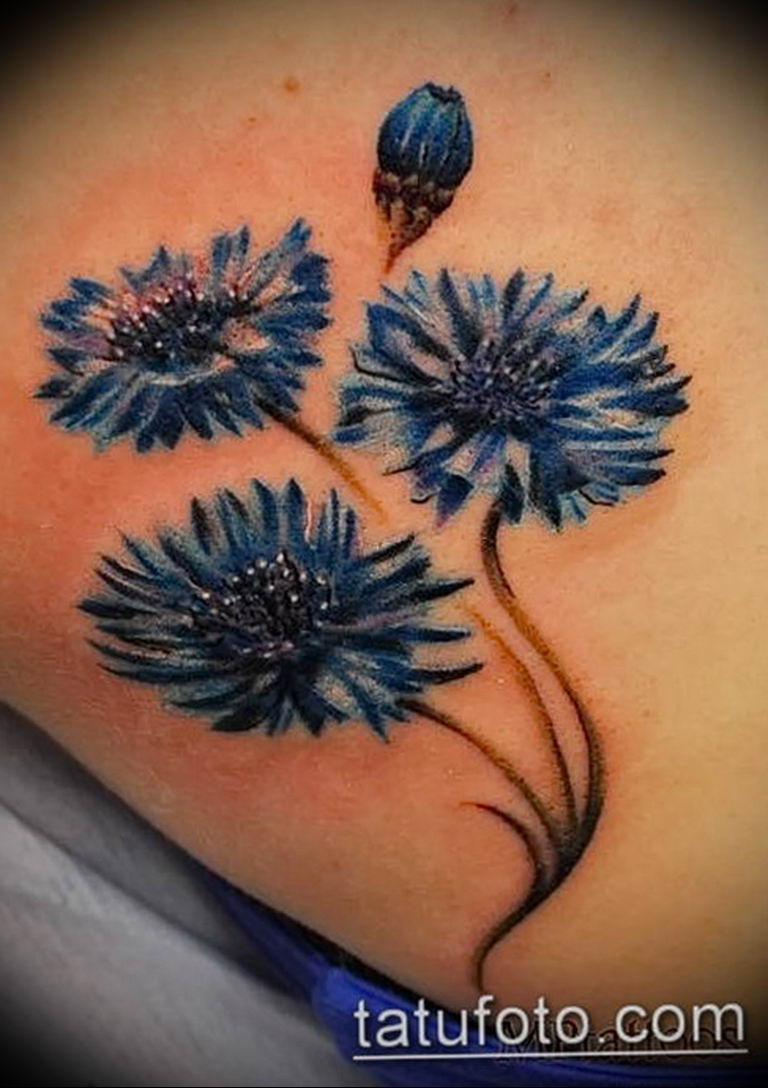 photo tattoo cornflower 03.03.2019 №071 - idea for a tattoo with cornflower - tattoovalue.net