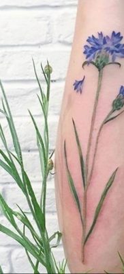 photo tattoo cornflower 03.03.2019 №074 – idea for a tattoo with cornflower – tattoovalue.net