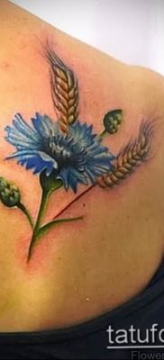 photo tattoo cornflower 03.03.2019 №076 – idea for a tattoo with cornflower – tattoovalue.net