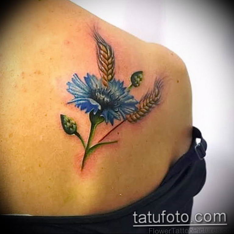 photo tattoo cornflower 03.03.2019 №076 - idea for a tattoo with cornflower - tattoovalue.net