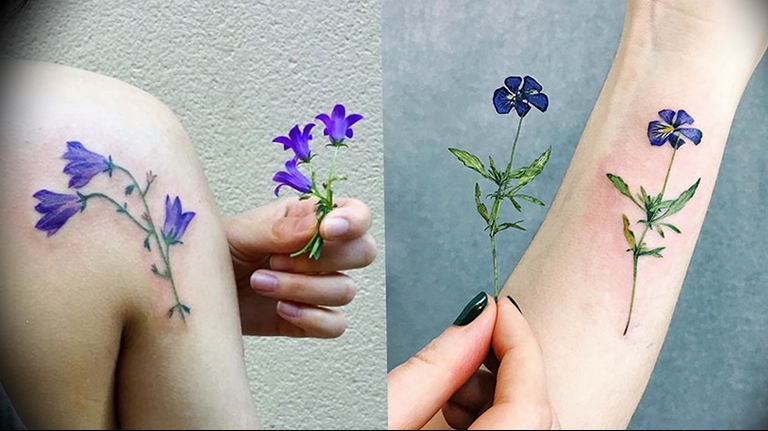 photo tattoo cornflower 03.03.2019 №077 - idea for a tattoo with cornflower - tattoovalue.net