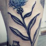 photo tattoo cornflower 03.03.2019 №079 - idea for a tattoo with cornflower - tattoovalue.net