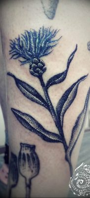 photo tattoo cornflower 03.03.2019 №079 – idea for a tattoo with cornflower – tattoovalue.net
