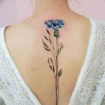 photo tattoo cornflower 03.03.2019 №081 - idea for a tattoo with cornflower - tattoovalue.net
