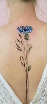 photo tattoo cornflower 03.03.2019 №081 – idea for a tattoo with cornflower – tattoovalue.net