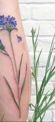 photo tattoo cornflower 03.03.2019 №083 – idea for a tattoo with cornflower – tattoovalue.net