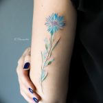 photo tattoo cornflower 03.03.2019 №087 - idea for a tattoo with cornflower - tattoovalue.net