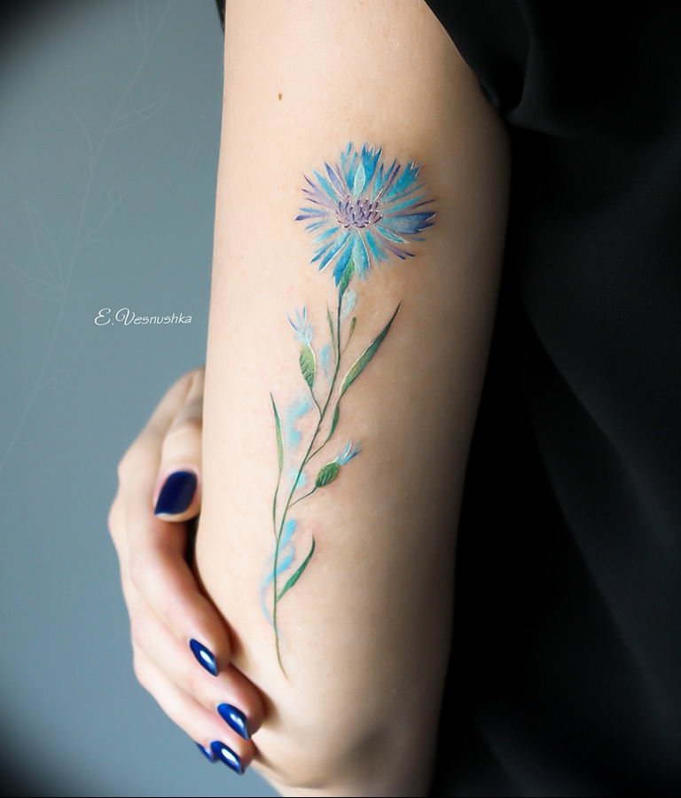 photo tattoo cornflower 03.03.2019 №087 - idea for a tattoo with cornflower - tattoovalue.net