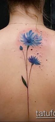 photo tattoo cornflower 03.03.2019 №089 – idea for a tattoo with cornflower – tattoovalue.net