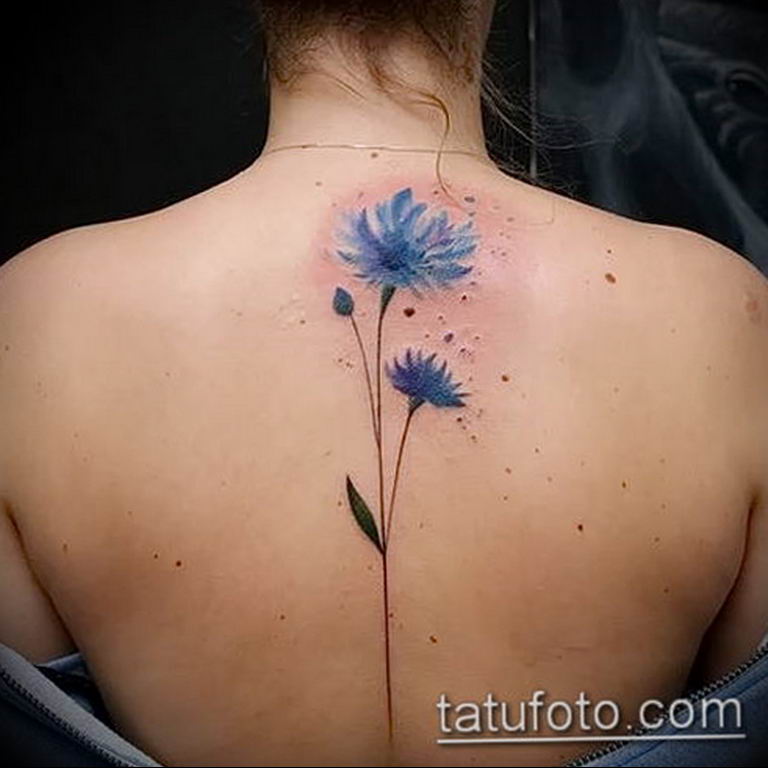 photo tattoo cornflower 03.03.2019 №089 - idea for a tattoo with cornflower - tattoovalue.net