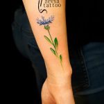 photo tattoo cornflower 03.03.2019 №091 - idea for a tattoo with cornflower - tattoovalue.net