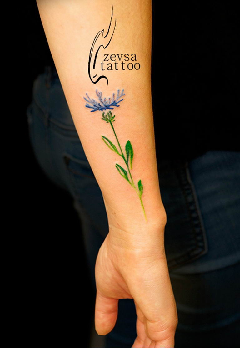 photo tattoo cornflower 03.03.2019 №091 - idea for a tattoo with cornflower - tattoovalue.net