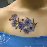 photo tattoo cornflower 03.03.2019 №094 - idea for a tattoo with cornflower - tattoovalue.net