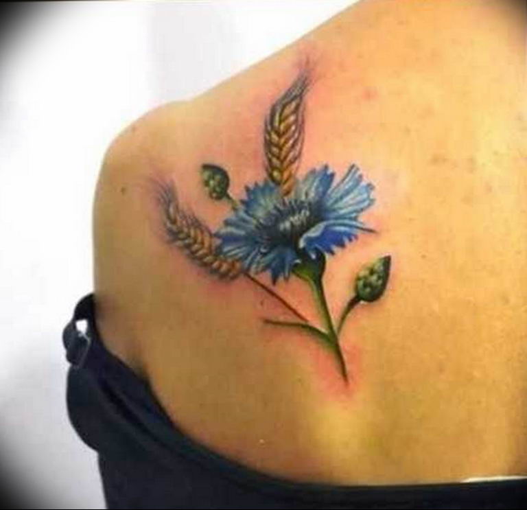 photo tattoo cornflower 03.03.2019 №097 - idea for a tattoo with cornflower - tattoovalue.net