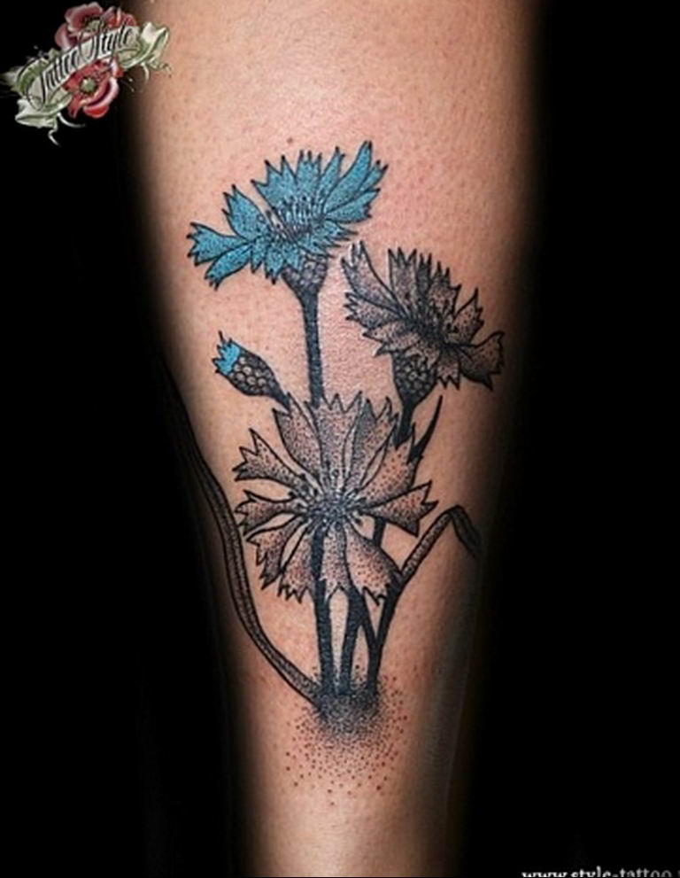 photo tattoo cornflower 03.03.2019 №098 - idea for a tattoo with cornflower - tattoovalue.net