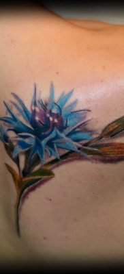 photo tattoo cornflower 03.03.2019 №099 – idea for a tattoo with cornflower – tattoovalue.net