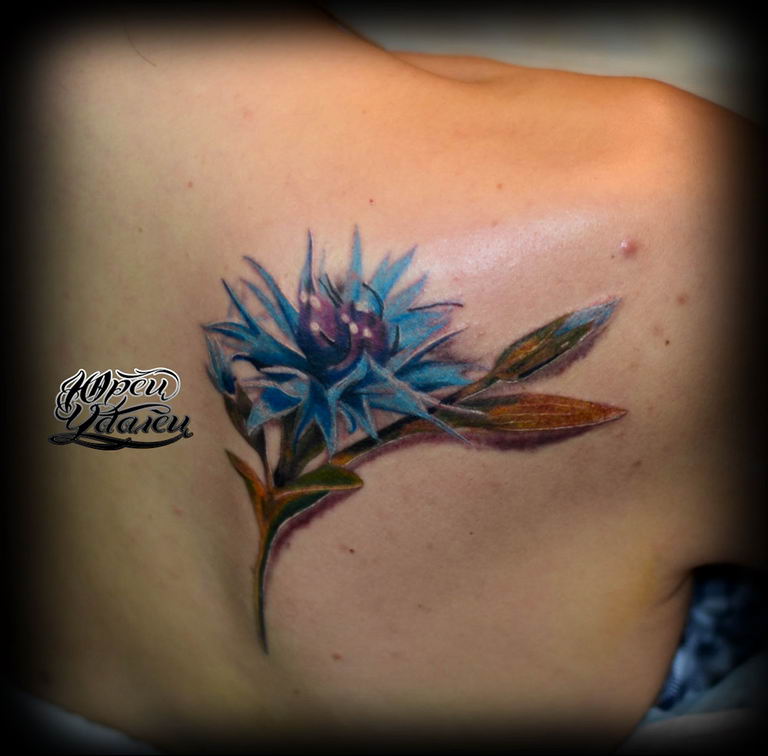 photo tattoo cornflower 03.03.2019 №099 - idea for a tattoo with cornflower - tattoovalue.net
