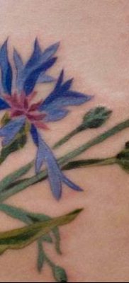 photo tattoo cornflower 03.03.2019 №101 – idea for a tattoo with cornflower – tattoovalue.net