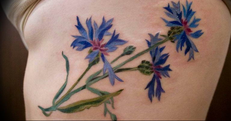 photo tattoo cornflower 03.03.2019 №101 - idea for a tattoo with cornflower - tattoovalue.net