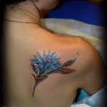 photo tattoo cornflower 03.03.2019 №106 - idea for a tattoo with cornflower - tattoovalue.net