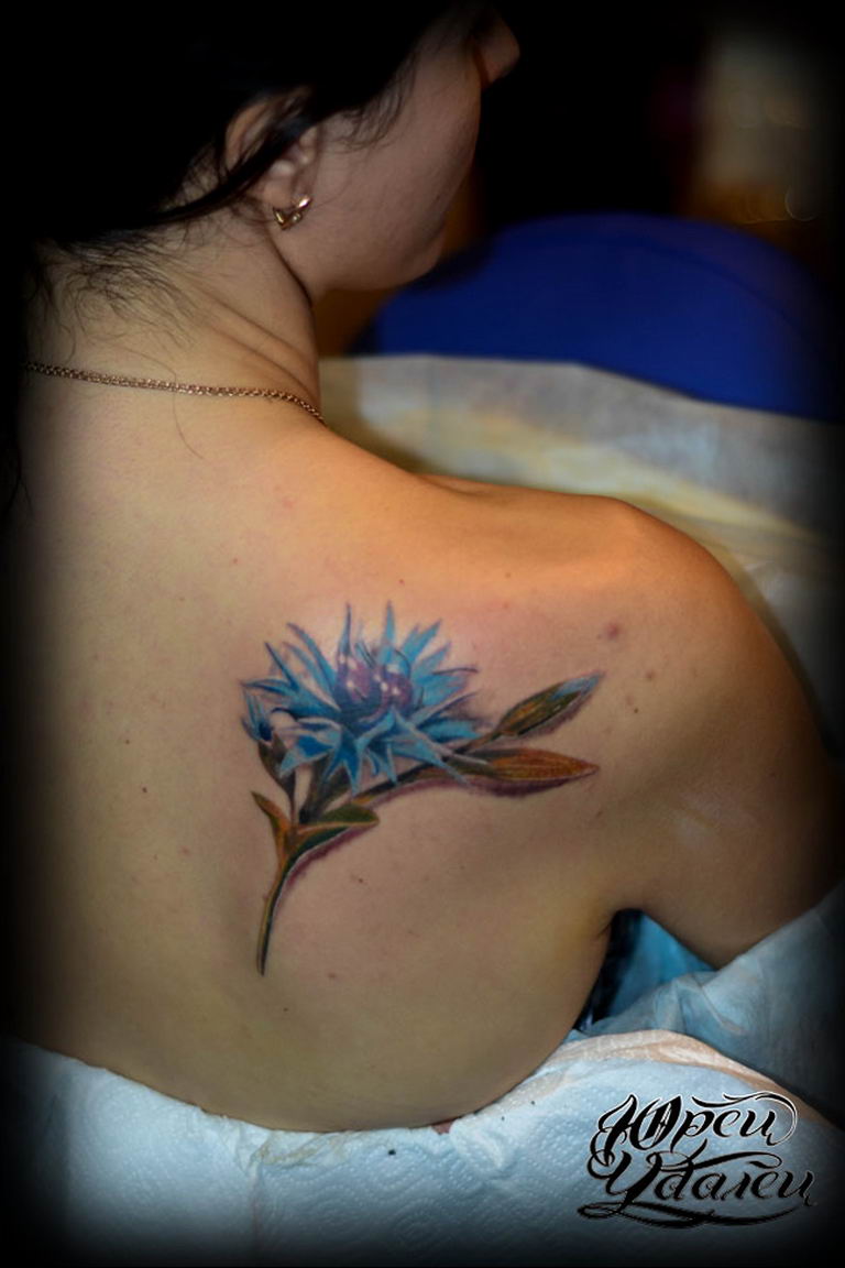 photo tattoo cornflower 03.03.2019 №106 - idea for a tattoo with cornflower - tattoovalue.net